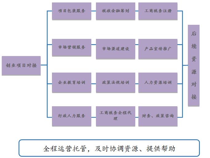 红杏首页入口红杏在线免费视频创业服务方案