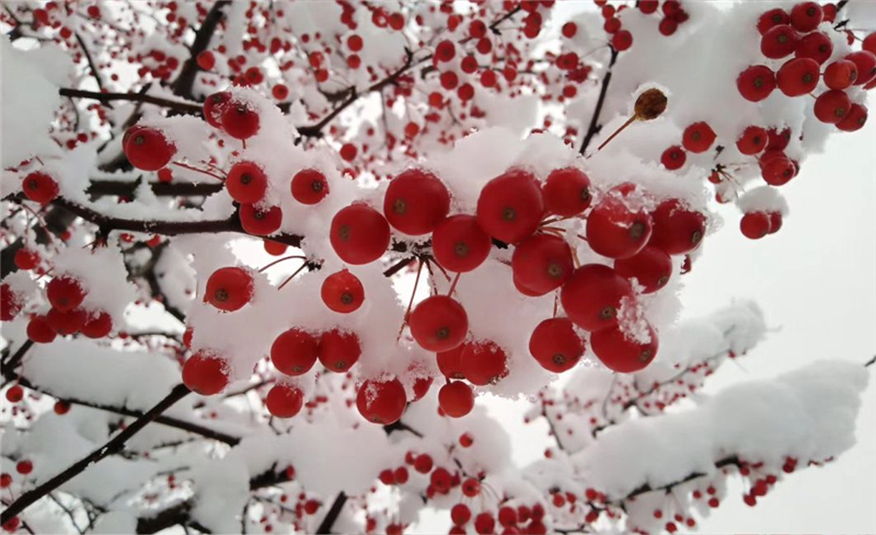 1589763972421154.jpg 1 (1).jpg