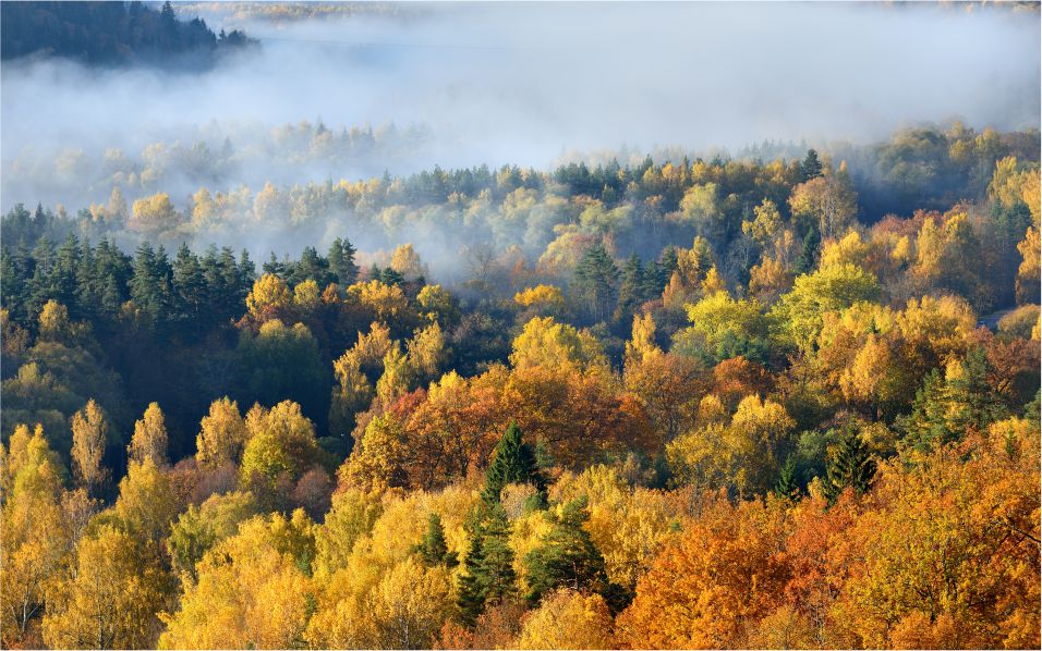 1591143483425203.jpg 49.jpg