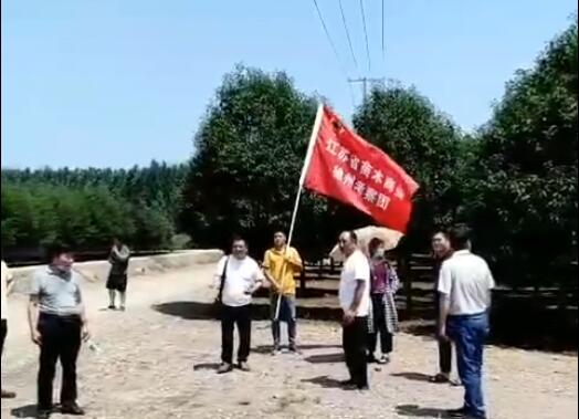 1596016370693465.jpg QQ截图20200729174827.jpg